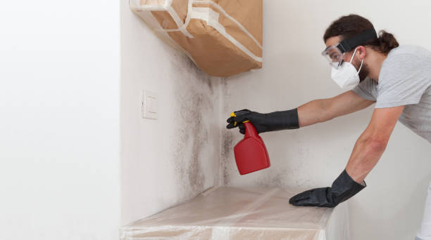 Professional Attic Mold Remediation technician working in Cary, IL