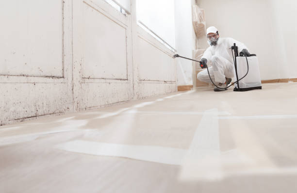 24/7 Emergency Attic Mold Remediation experts in Cary, IL