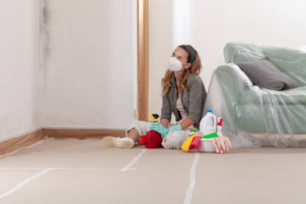 Reliable Attic Mold Remediation contractor in Cary, IL by 24 Hour Mold Removal